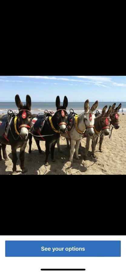 Sealands Highbury Next To Fantasy Island And Beach 8 Berth Beds Made Up For Arrival Ingoldmells Exterior foto